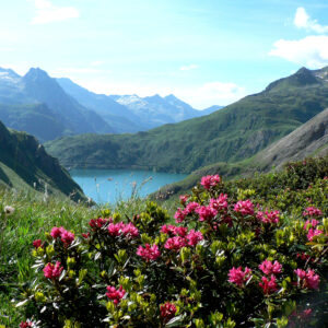 TREK IN VAL D'OSSOLA